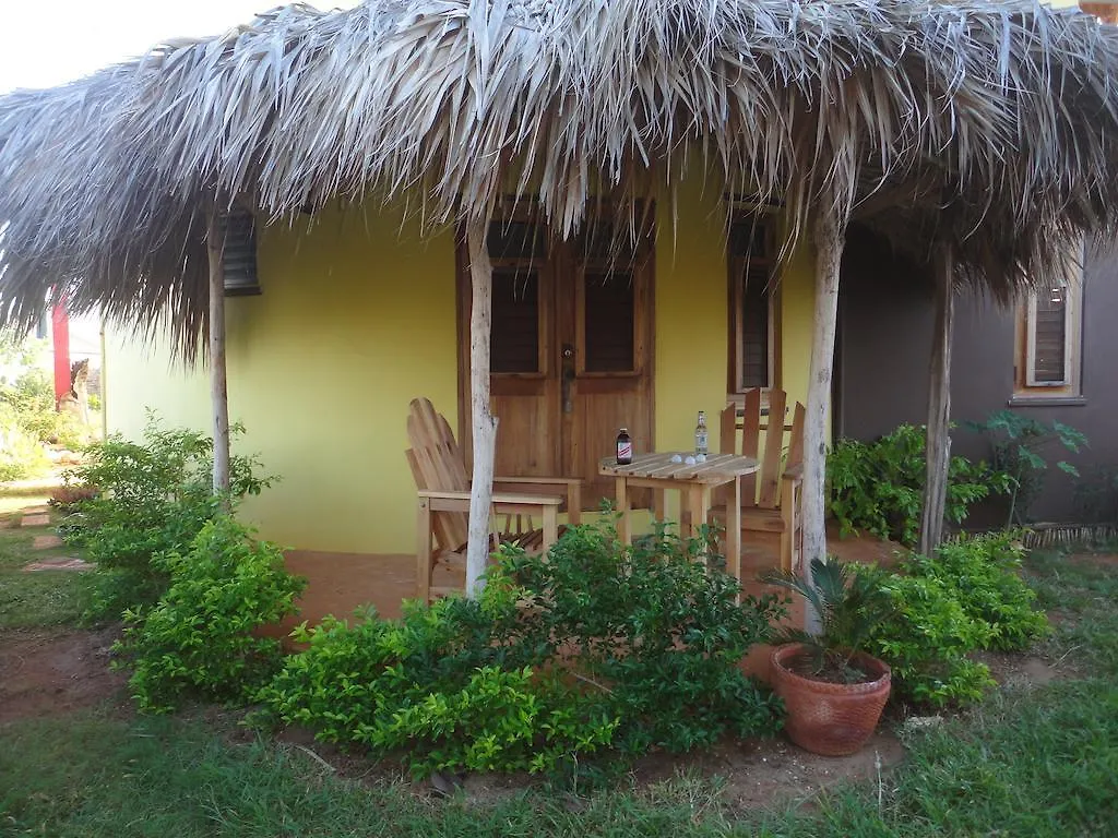 *** בית הארחה טרזר ביץ' Kudehya Guesthouse ג'מייקה