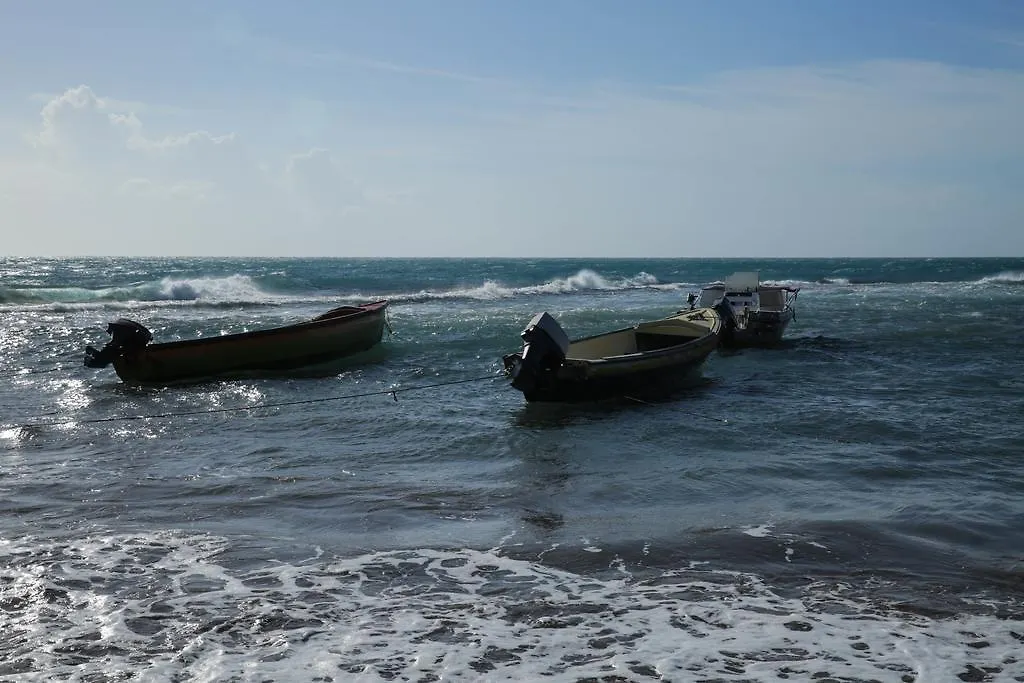 Kudehya Guesthouse Treasure Beach