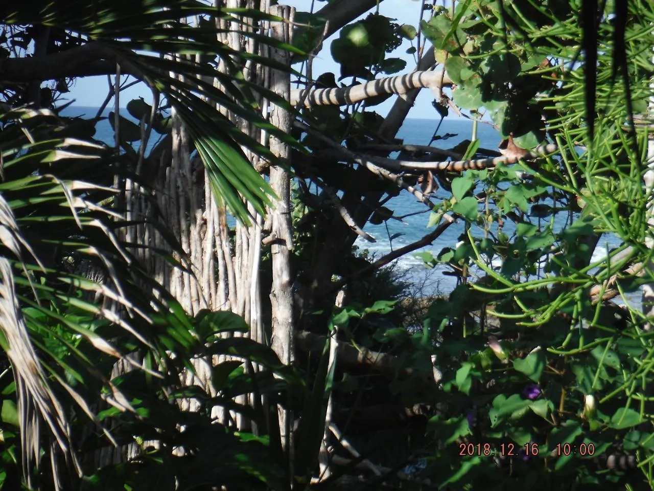 Konukevi Kudehya Guesthouse Treasure Beach
