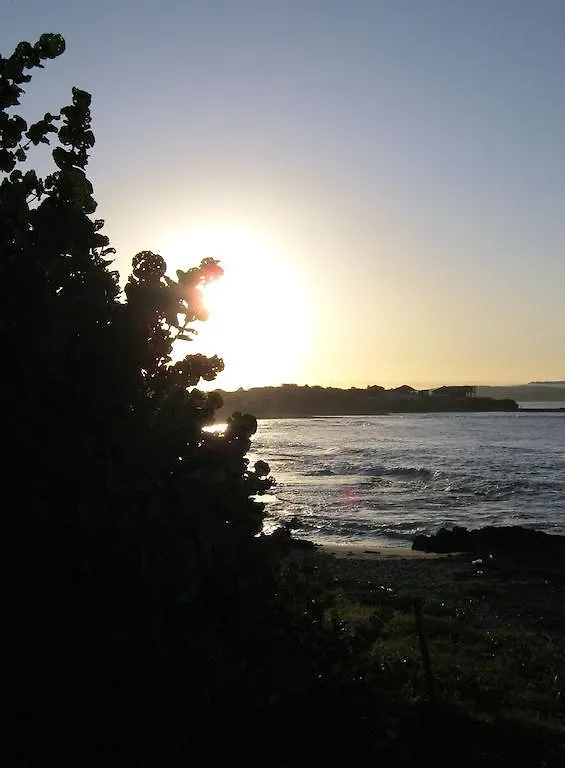 Kudehya Guesthouse Treasure Beach