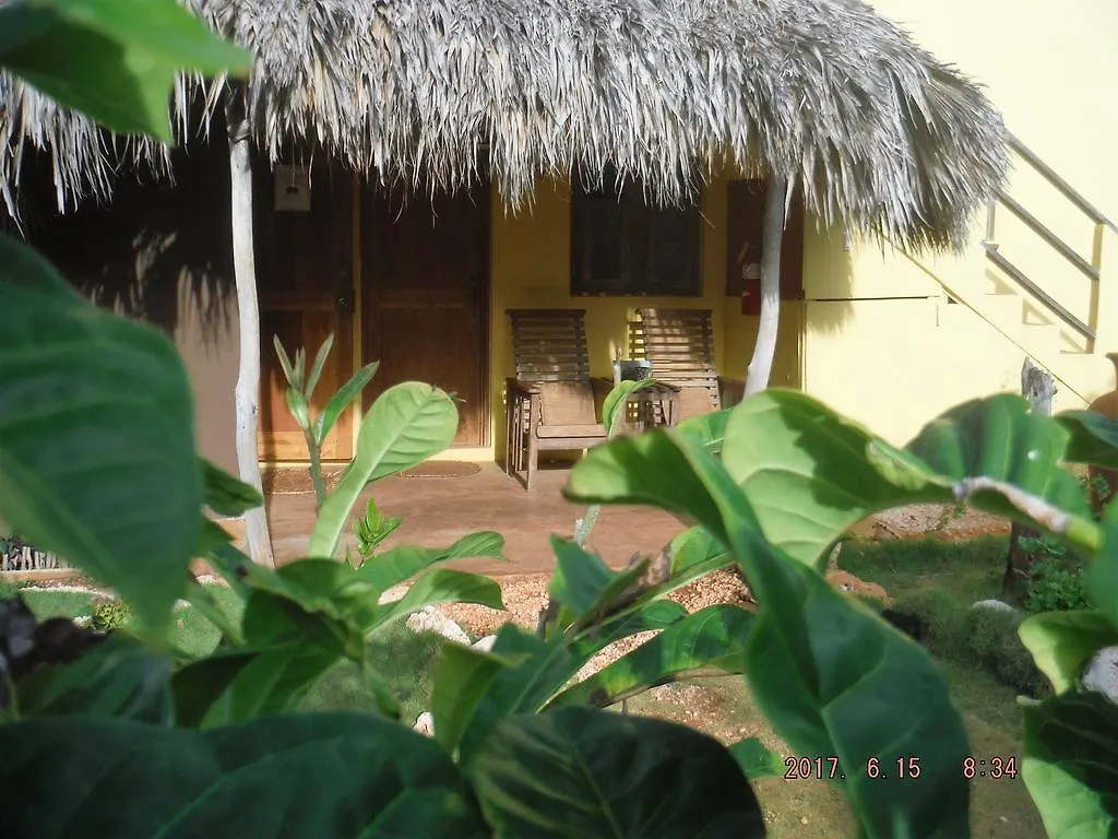 Kudehya Guesthouse Treasure Beach 3*,  Jamaica